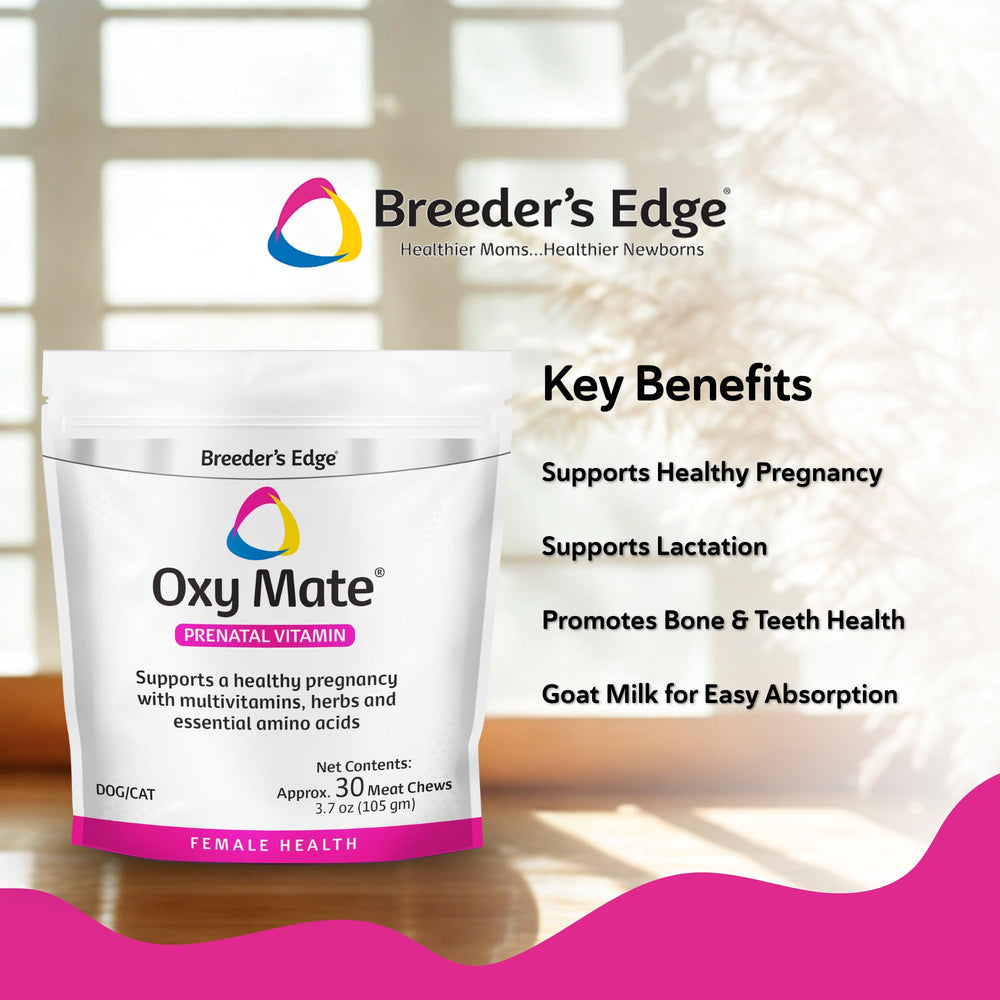 Friandises prénatales Oxy Mate prêtes à être consommées par les chiennes et chattes.