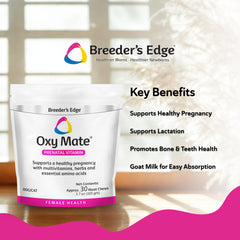 Friandises prénatales Oxy Mate prêtes à être consommées par les chiennes et chattes.