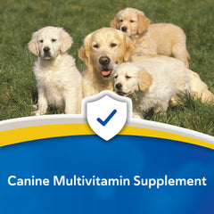 Doc Roy’s Daily Care – soutien immunitaire pour chien.