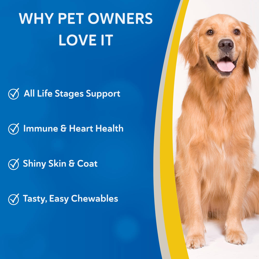 Doc Roy’s Daily Care – oméga pour chien, pelage sain et mobilité.