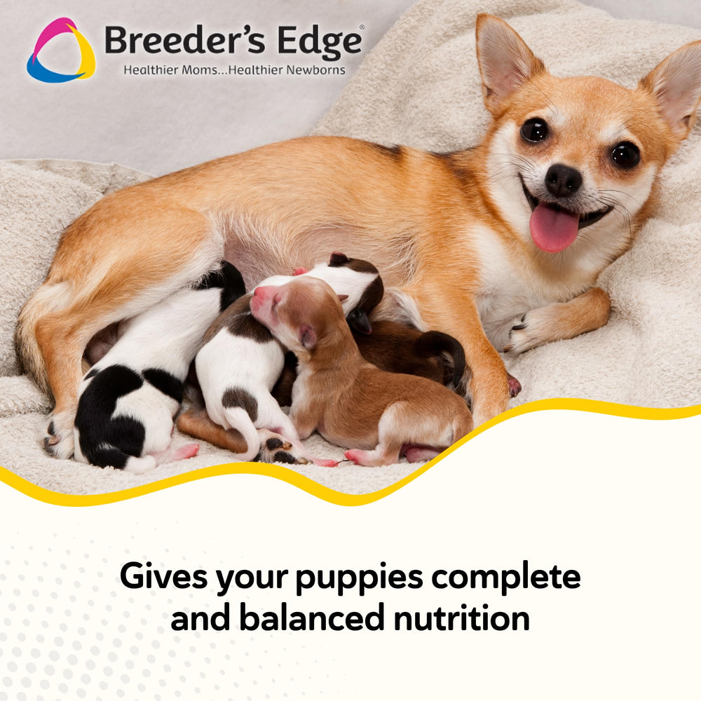 Breeder's Edge Foster Care: soutien immunitaire IgY pour les jeunes chiens.