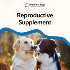 Breeder’s Edge Get Him Going: énergie-vitalité, boost naturel.