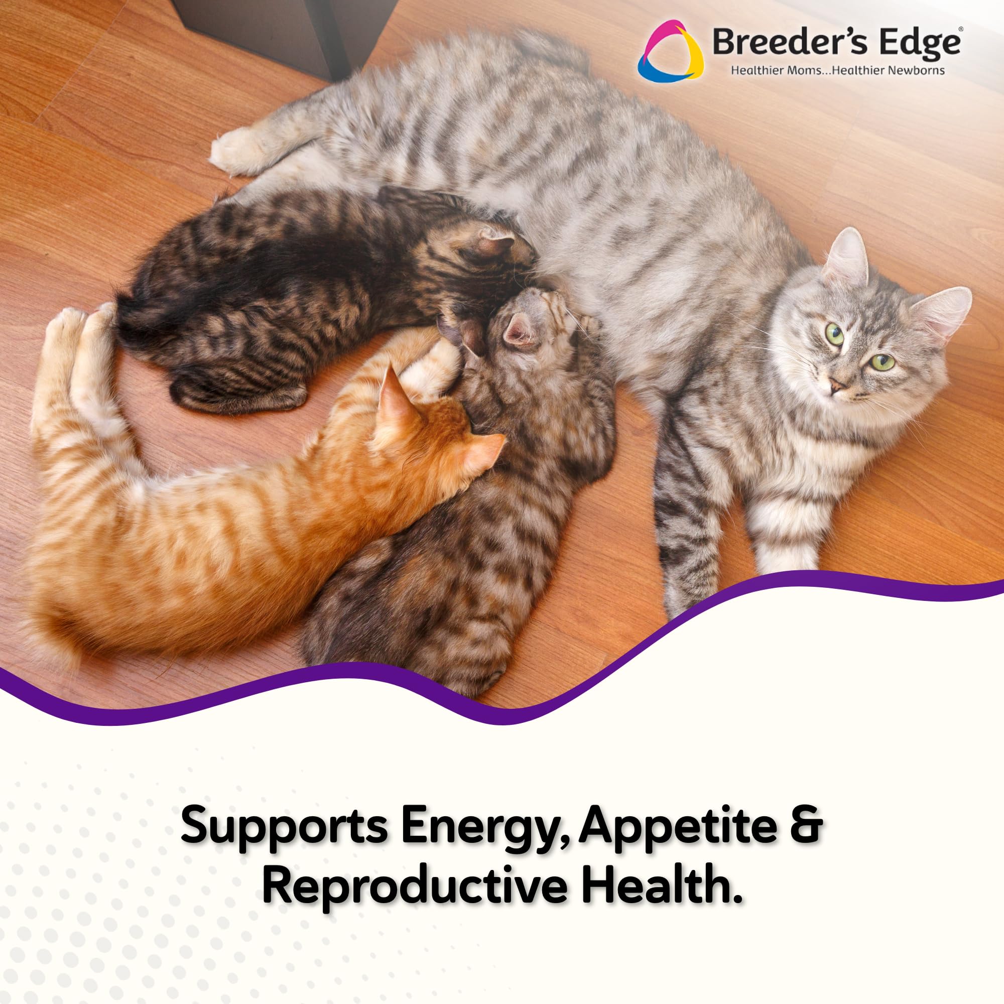 Breeder’s Edge Kitten Lyte – doseur, dosage précis pour hydratation sécurisée des chatons.