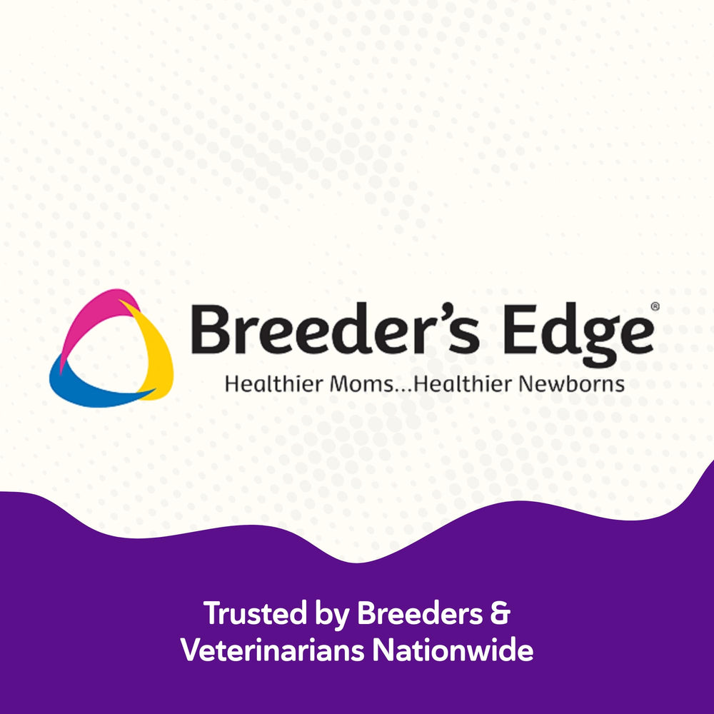 Breeder’s Edge Kitten Lyte – soupe poulet, goût apprécié par les chatons.