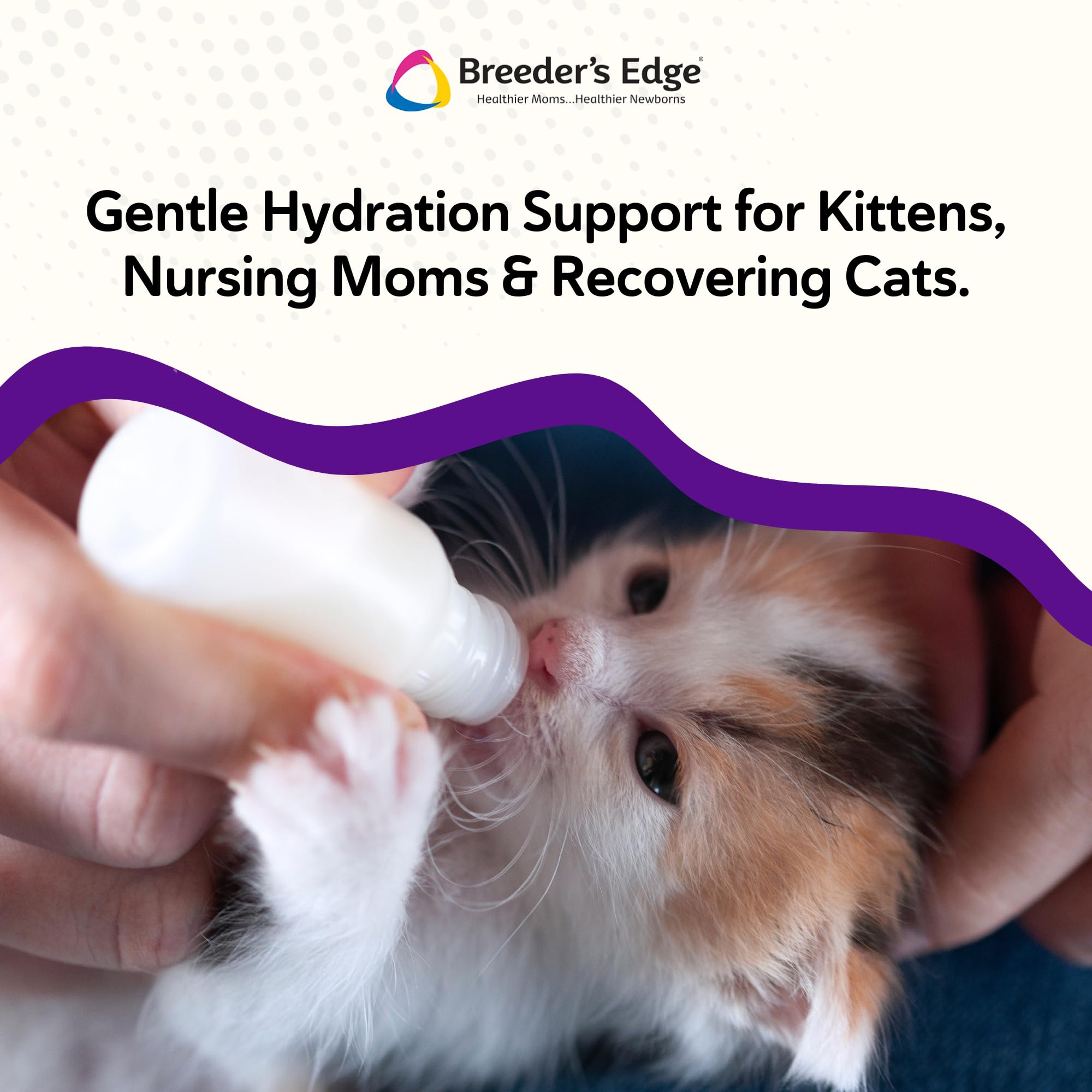 Breeder’s Edge Kitten Lyte – taurine, soutien cœur et vision chez le chat.