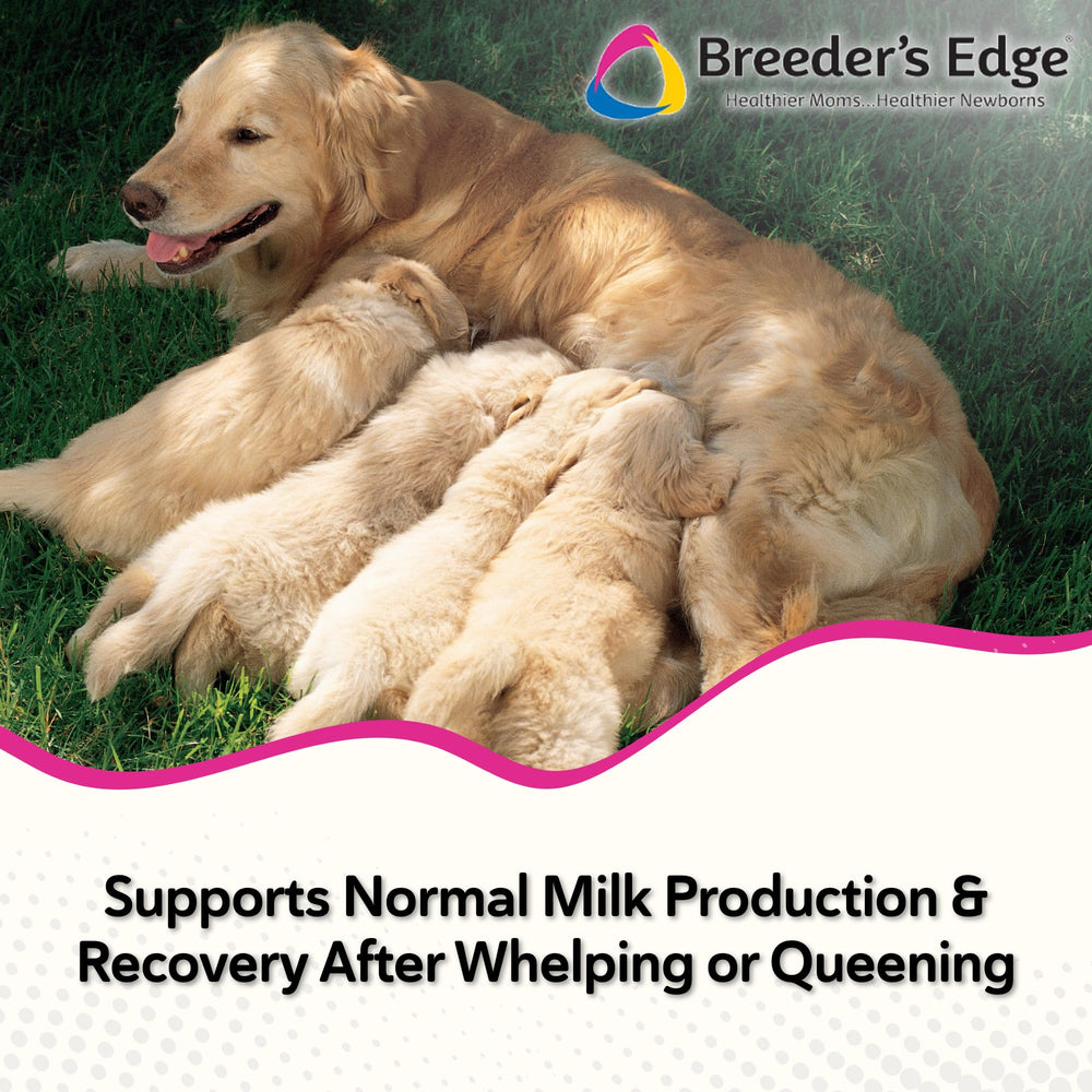 Breeder's Edge Oxy Momma, boite de 40 friandises visibles.