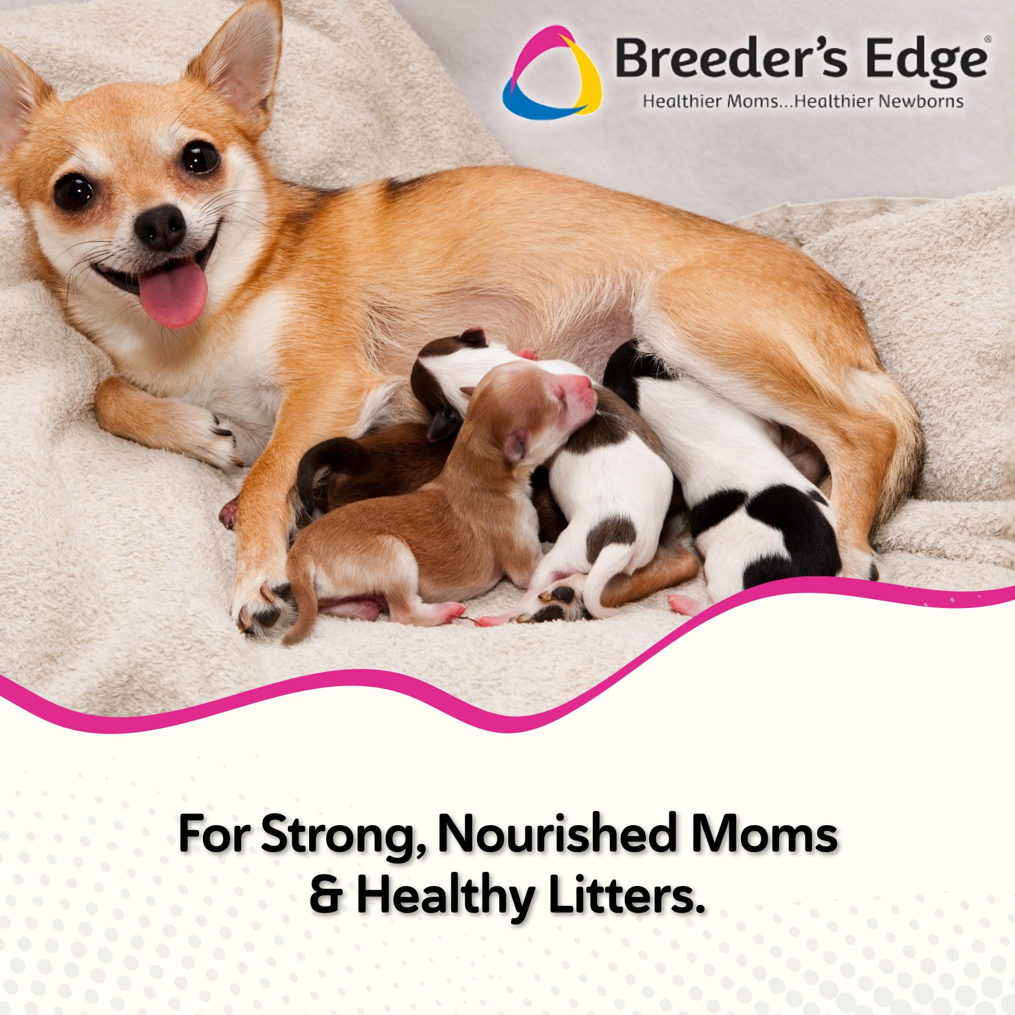 Breeder's Edge Oxy Momma, etiquette et informations nutritionnelles visibles.