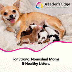 Breeder's Edge Oxy Momma, etiquette et informations nutritionnelles visibles.