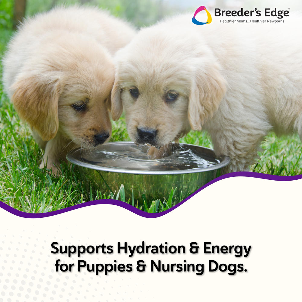 Breeder’s Edge Puppy Lyte, pelle-mesure: dose facile pour chiots et jeunes chiens.