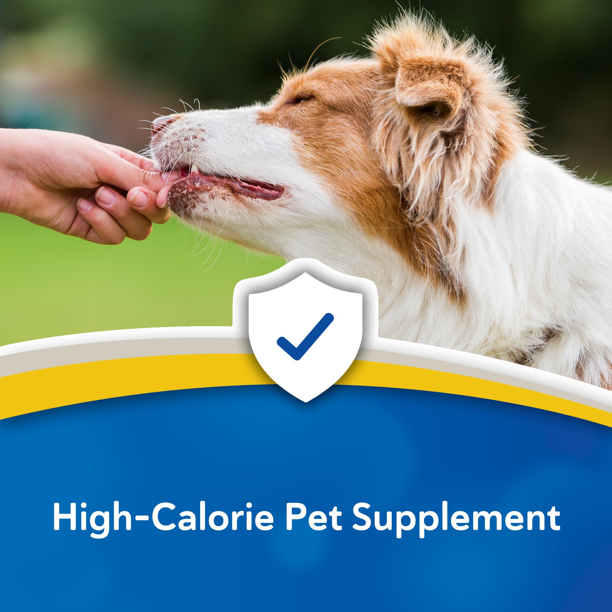 Doc Roy’s Forti Cal Soft Chews – combinaison de vitamines et minéraux pour le soutien nutritionnel.