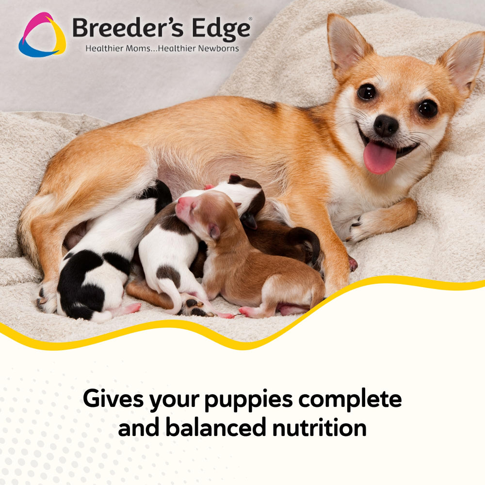 Breeder's Edge Foster Care - emballage de 12 onces prêt à l'emploi.
