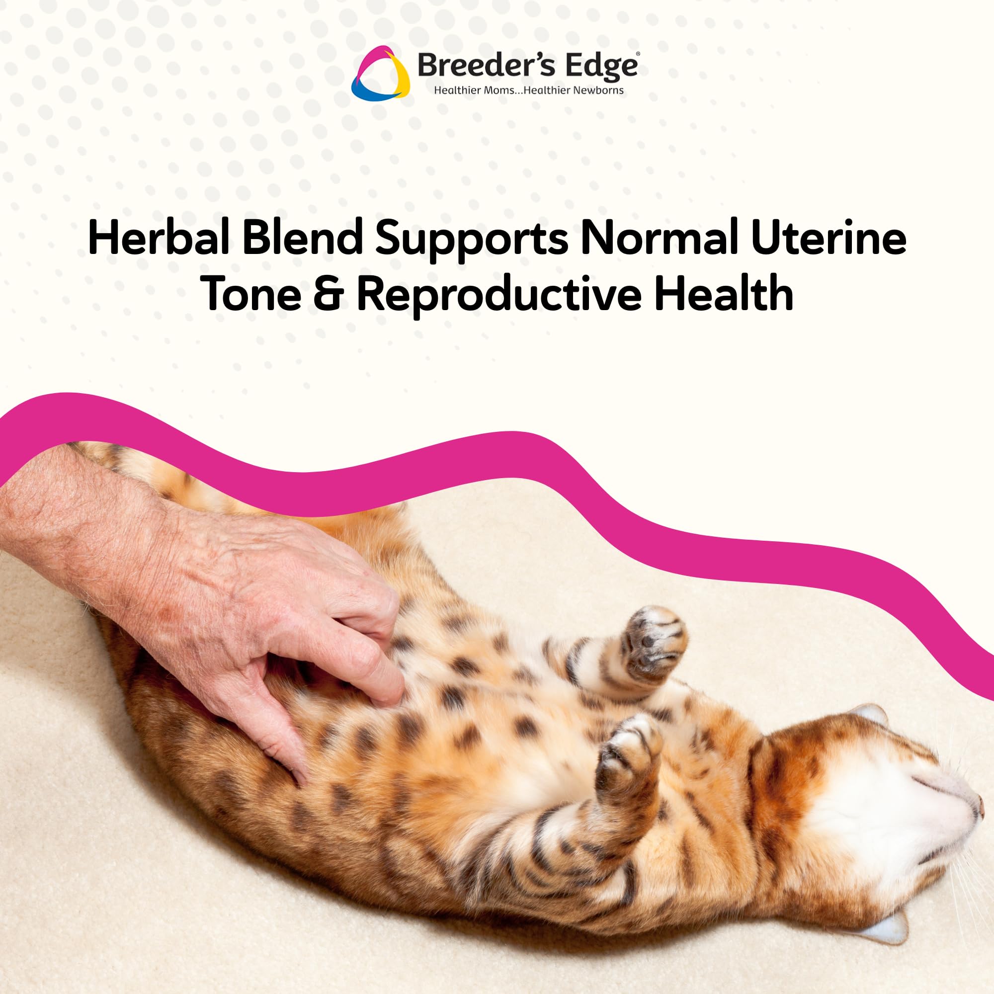 Breiver Oxy Mate, gestation-chiens-et-chats : soutien nutritionnel pour futures mères et portées.