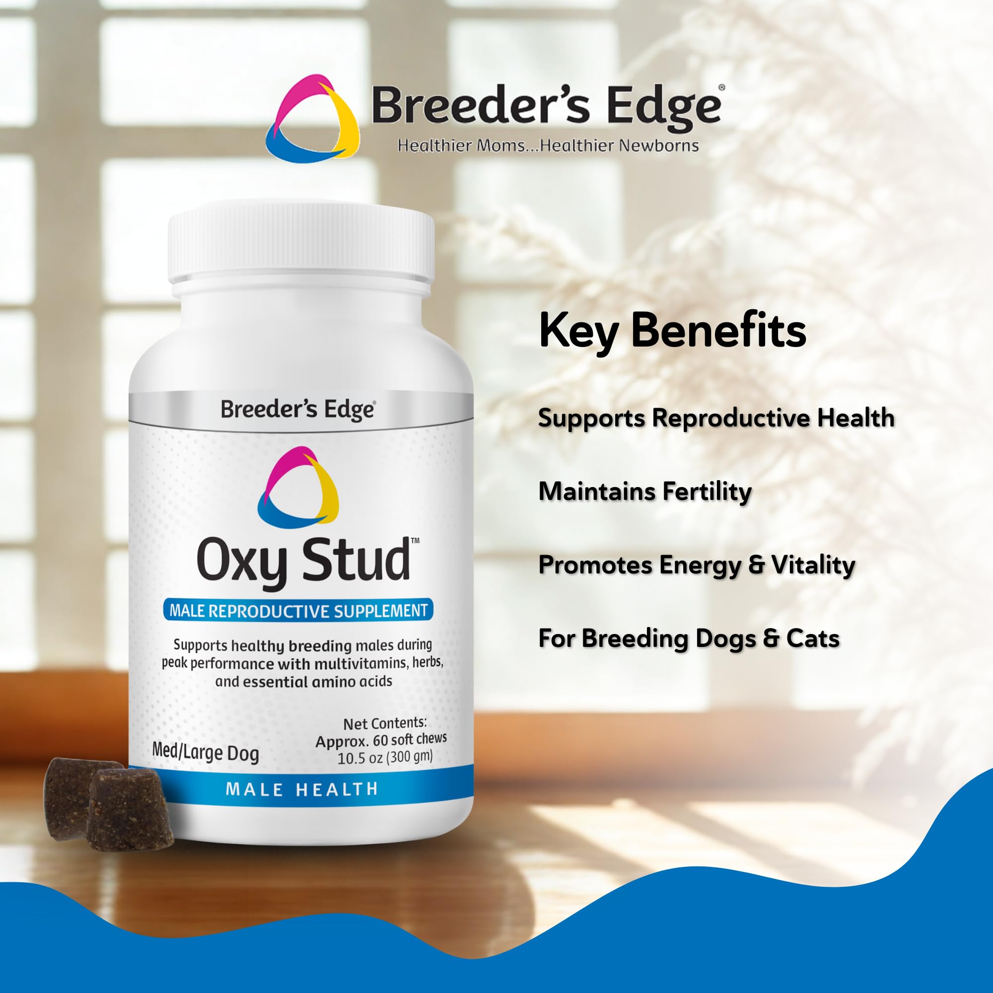 Ingrédients clés de Breeder's Edge Oxy Stud présentés pour les chiens et chats.