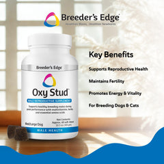 Ingrédients clés de Breeder's Edge Oxy Stud présentés pour les chiens et chats.