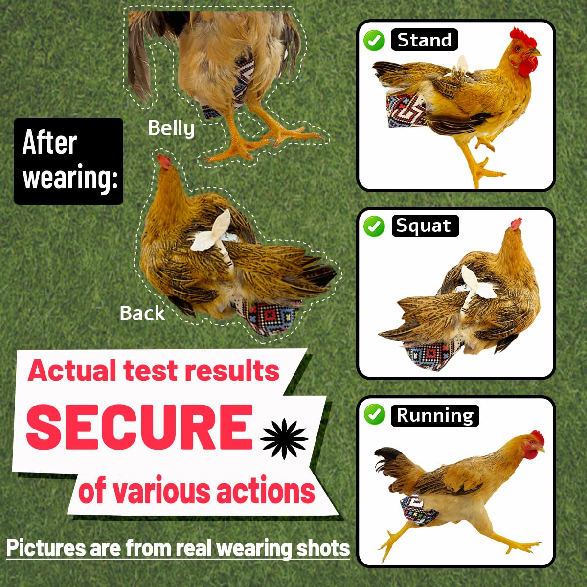 Sangles réglables Revoloza pour poulet — ajustement sûr et confortable.