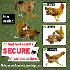Sangles réglables Revoloza pour poulet — ajustement sûr et confortable.