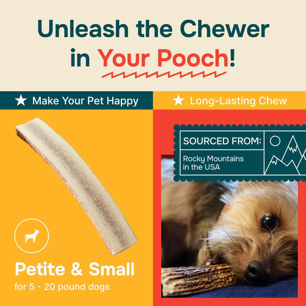 REXIPETS bois de cerf fendu texture durable, expérience tactile satisfaisante.