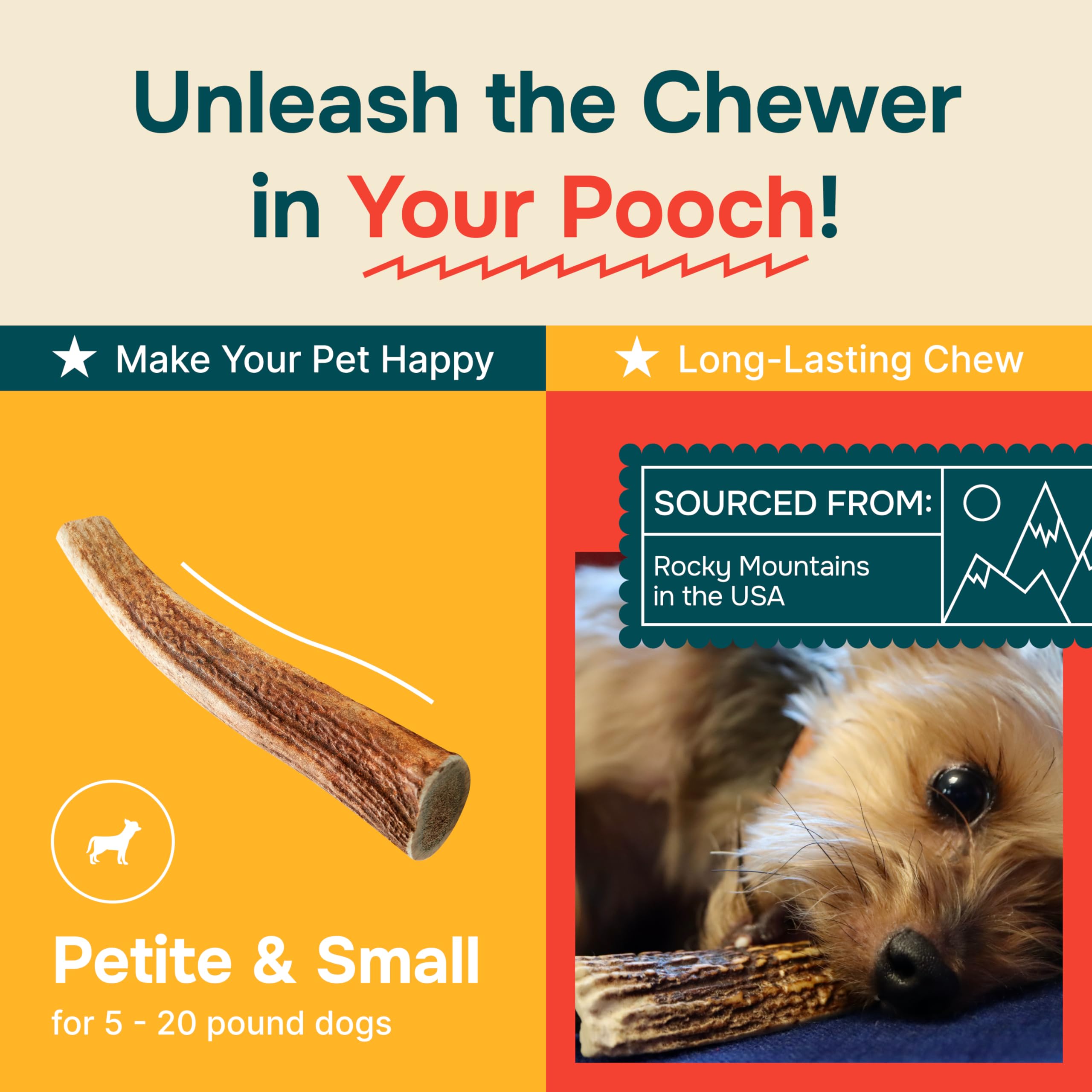 REXIPETS corne-elan-chien fabriqué aux Etats-Unis, qualité garantie.