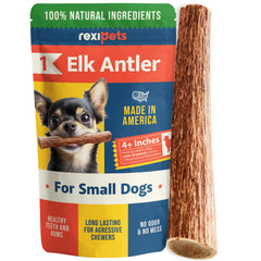 REXIPETS corne-elan-chien mastication longue durée pour chiens actifs.