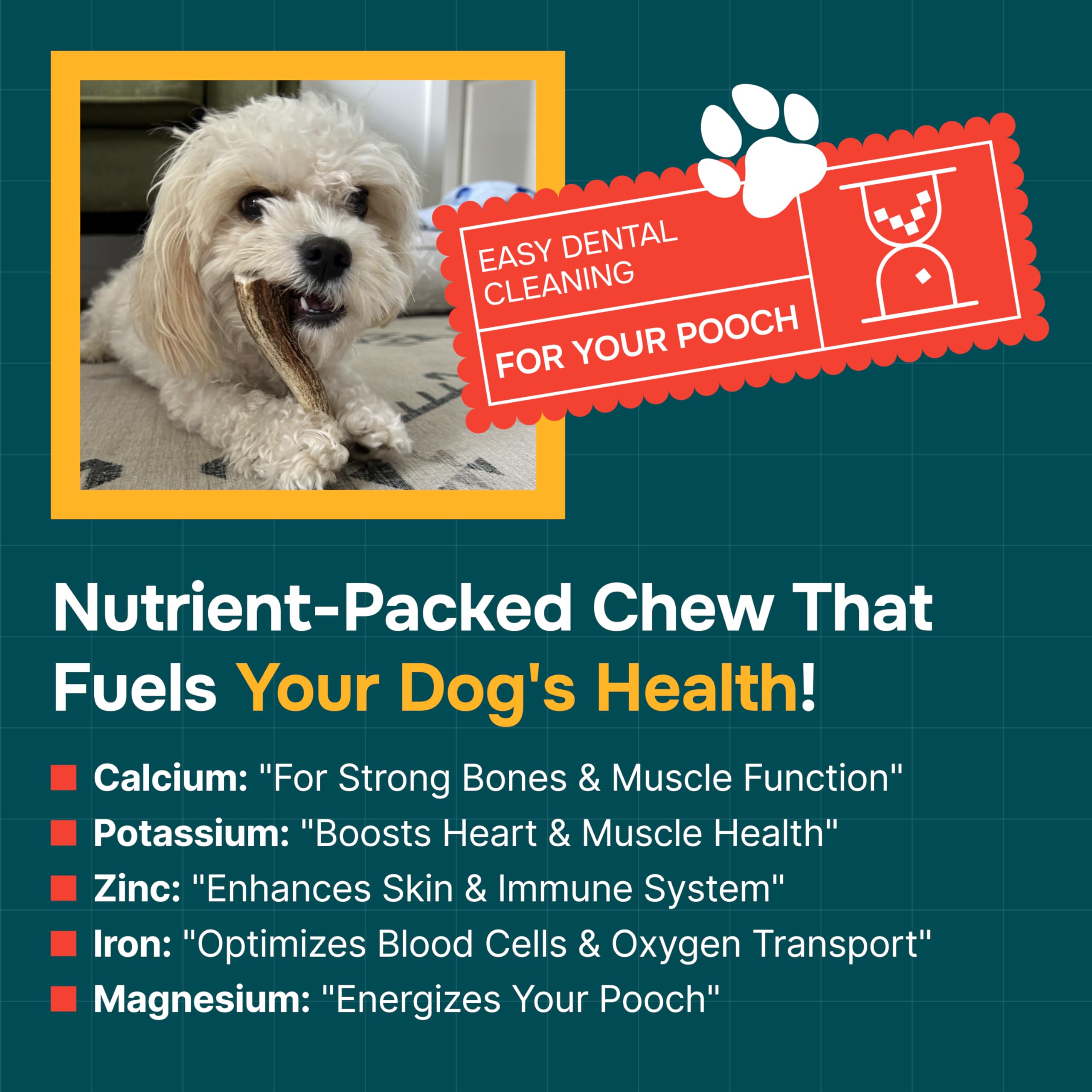 REXIPETS corne-elan-chien riches en minéraux pour une nutrition naturelle.