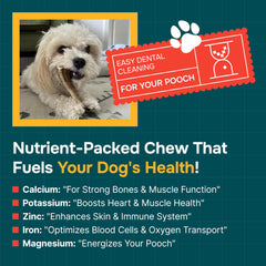 REXIPETS corne-elan-chien riches en minéraux pour une nutrition naturelle.