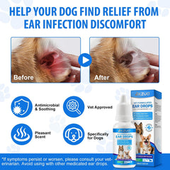 RHBESTOK gouttes d'oreilles chien-application: utilisation pratique à la maison.