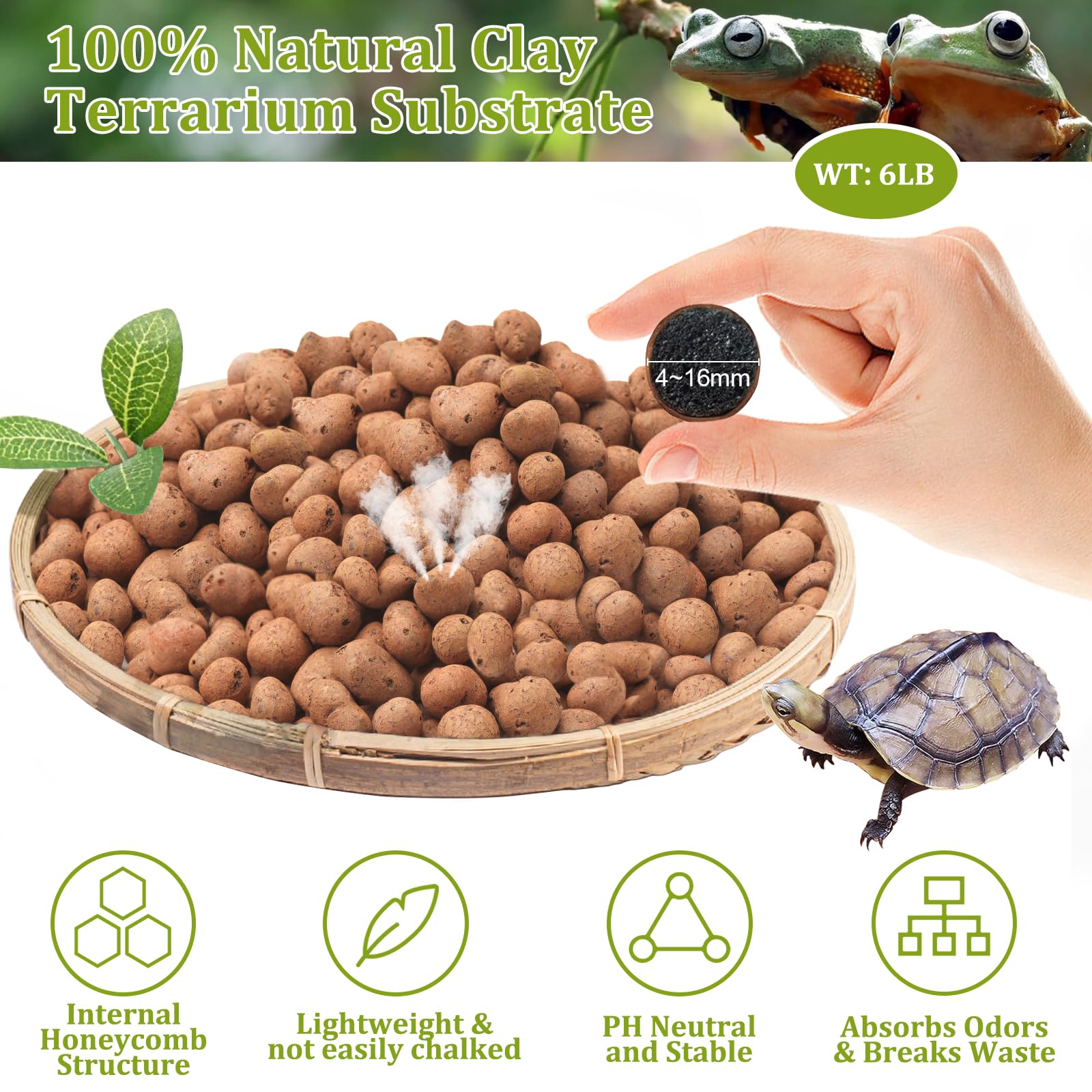 Riare billes d’argile pH neutre utilisées comme base de terrarium.