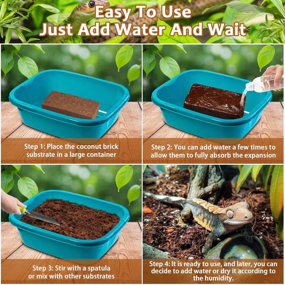 Riare biodégradable et compostable: option écologique pour terrariums.