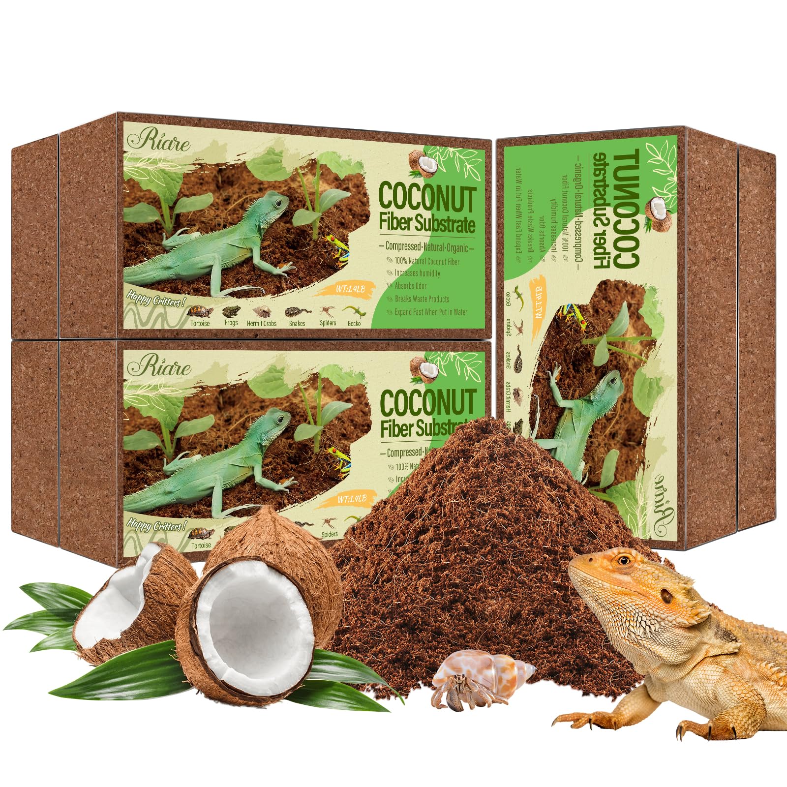 Riare blocs coco-substrat 6-pack, prêt à l'emploi pour terrarium propre.