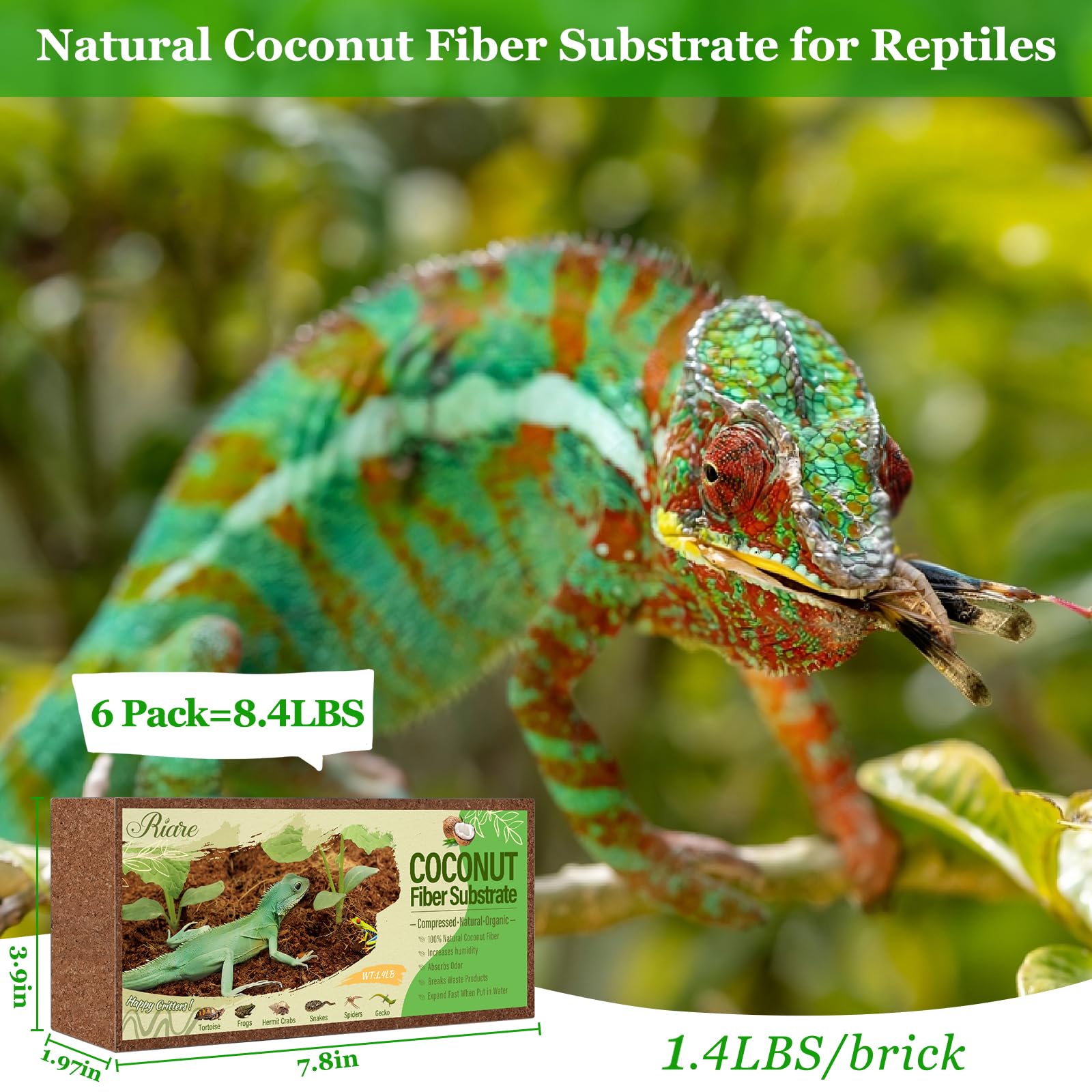 Riare bloc coco-substrat hydraté, expansion rapide pour litière humide.