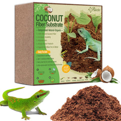 Riare brique coco substrat : litière naturelle prête à gonfler et retenir l’humidité.