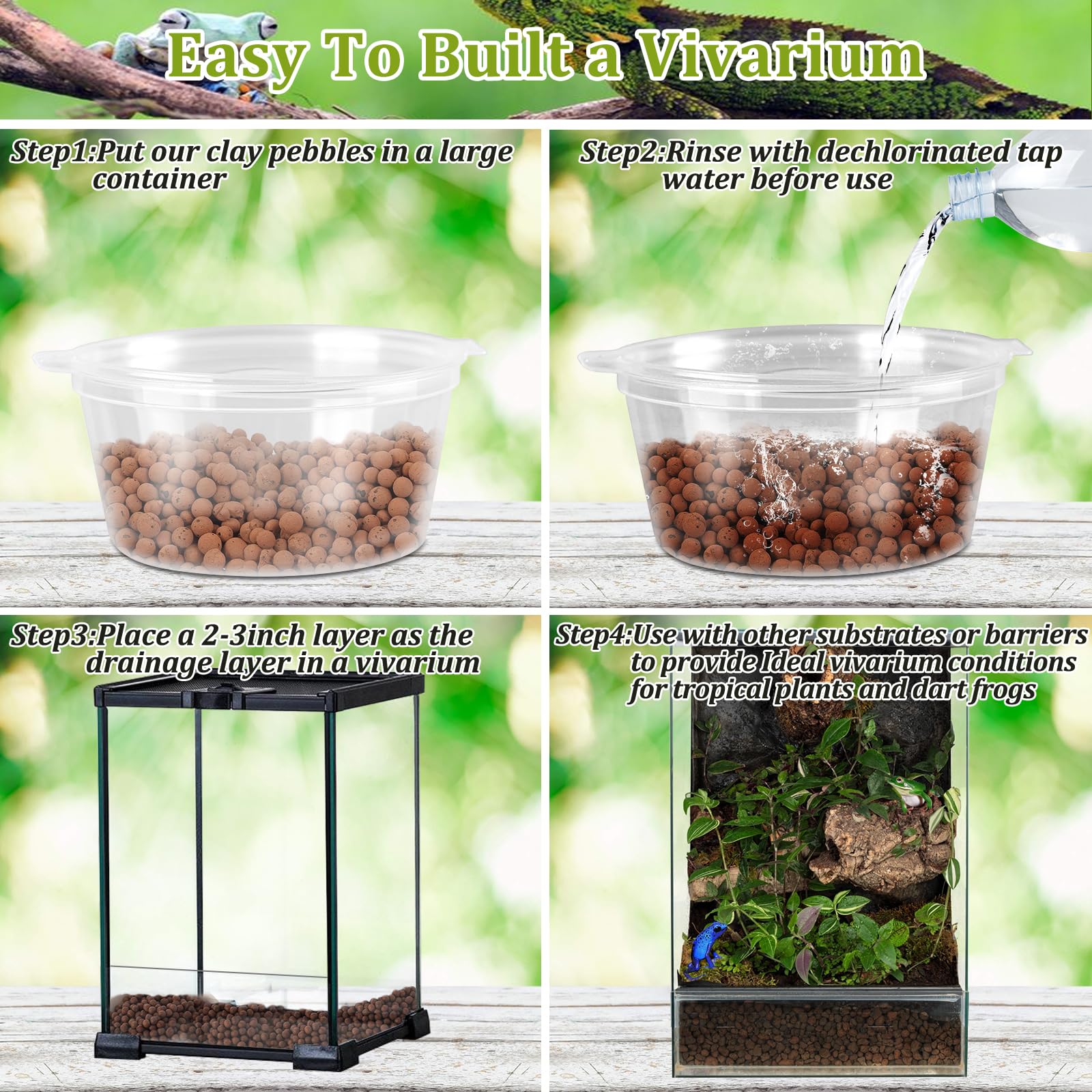 Drainage avec substrat argile bioactif dans terrarium.