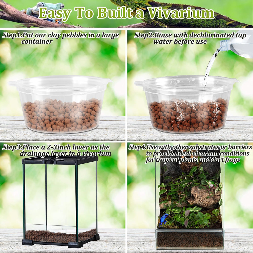 Drainage avec substrat argile bioactif dans terrarium.