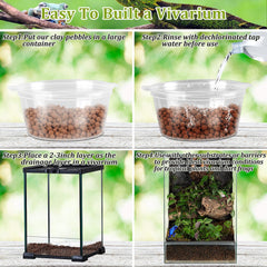 Drainage avec substrat argile bioactif dans terrarium.