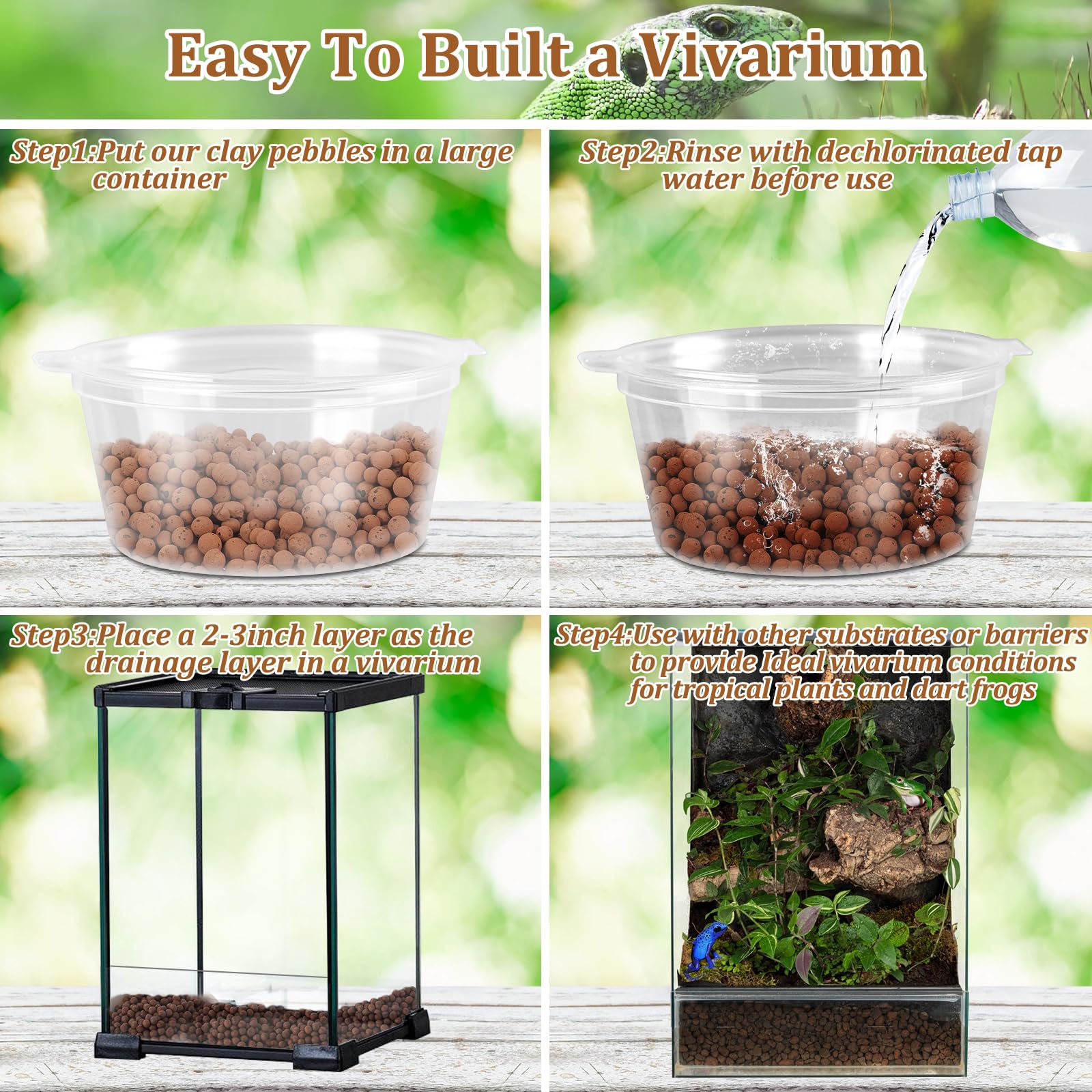 Riare : démonstration de drainage efficace pour terrarium bioactif.