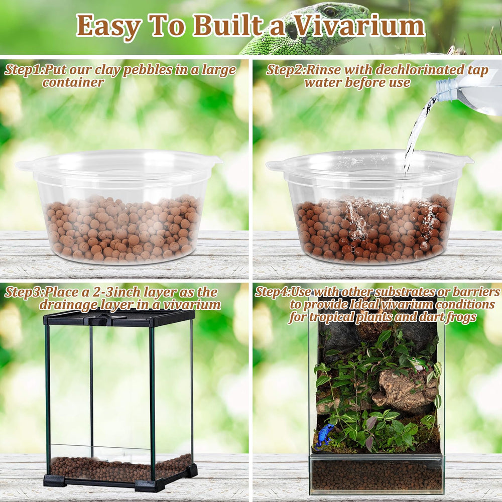Riare : démonstration de drainage efficace pour terrarium bioactif.