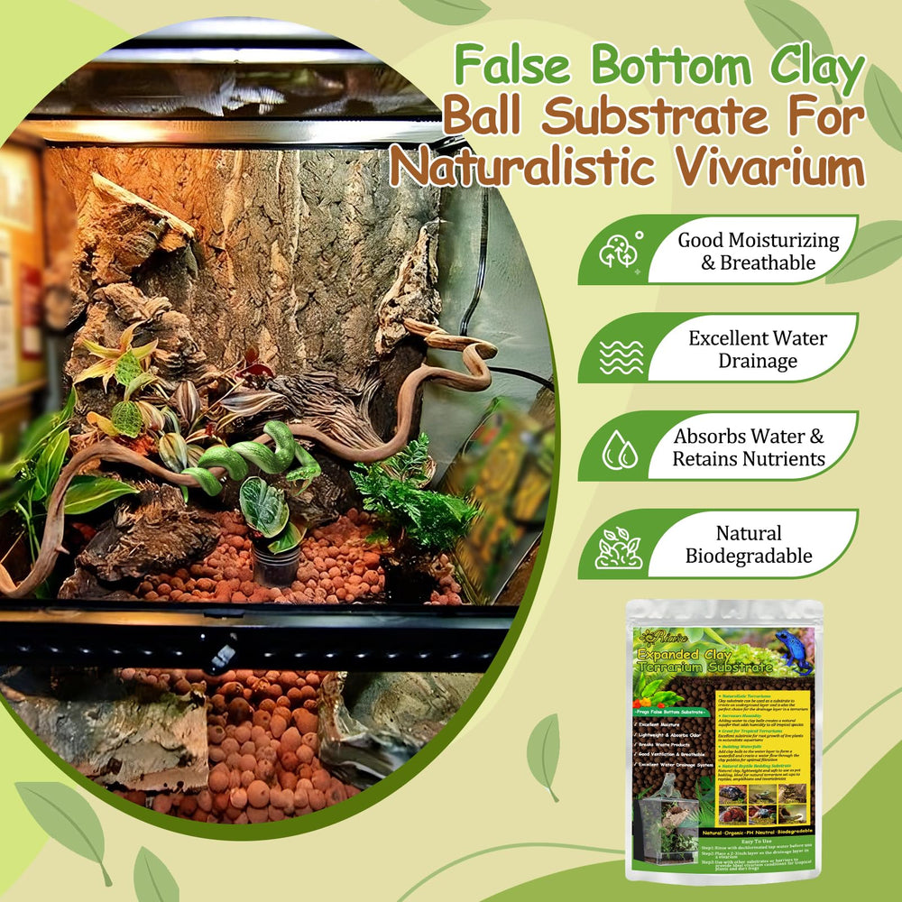 Riare fond-faux terrarium argile expandee, base légère et rétention d'humidité.
