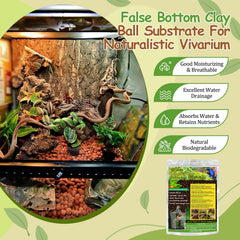 Riare fond-faux terrarium argile expandee, base légère et rétention d'humidité.