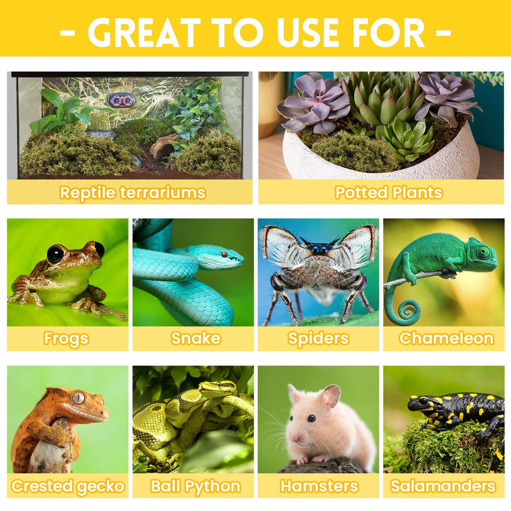 Riare mousse idéale pour l’hibernation et les naissances en terrarium.