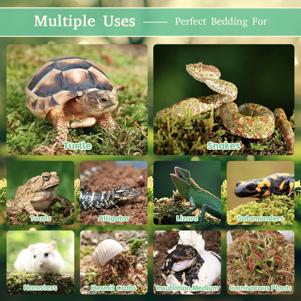 Riare mousse sans odeur pour terrarium, habitat plus agréable.