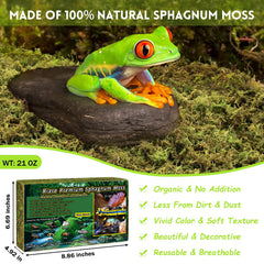 Riare mousse sphagnum absorbante, améliore l'humidité du terrarium.