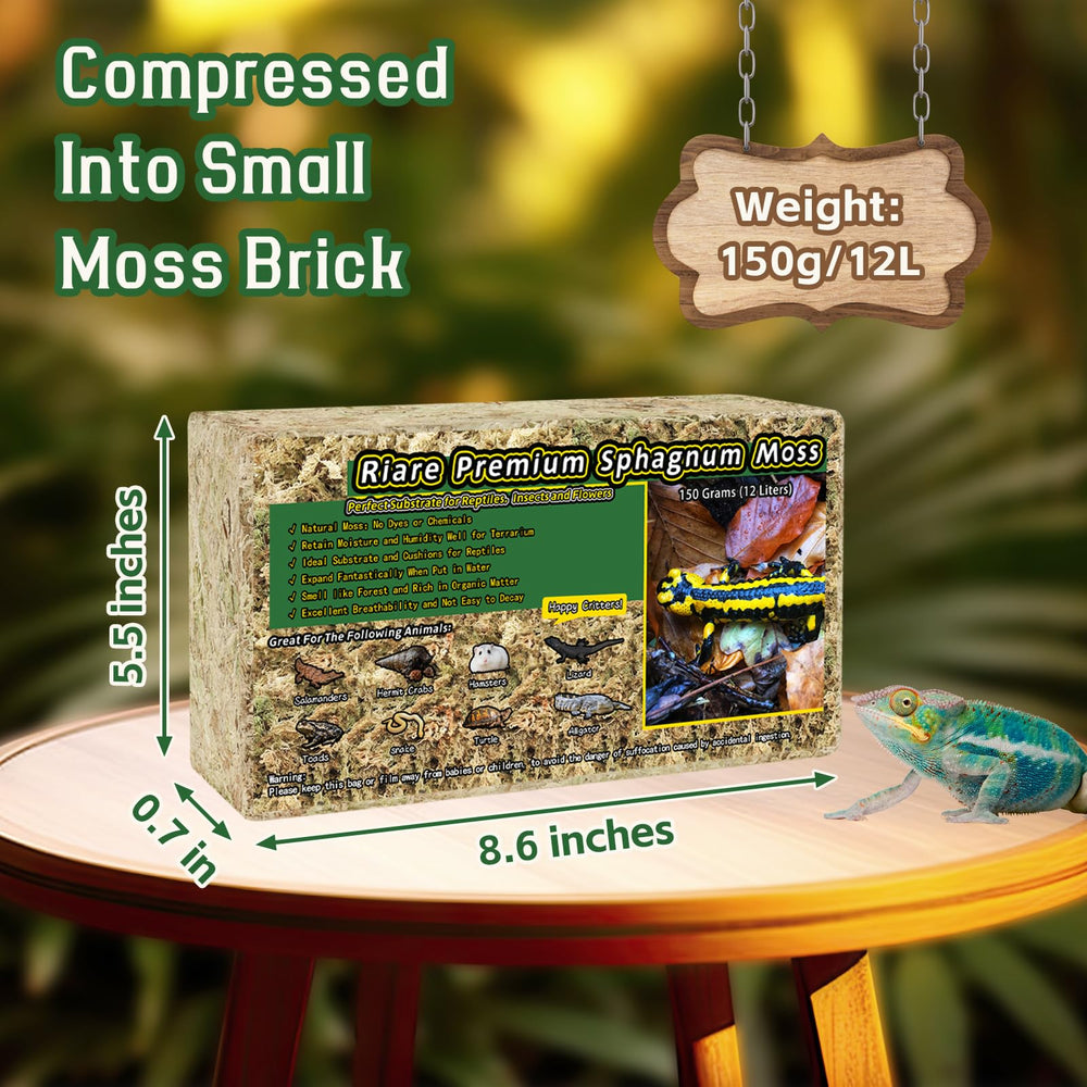 Riare mousse sphagnum premium après réhydratation, expansion utile dans le terrarium.