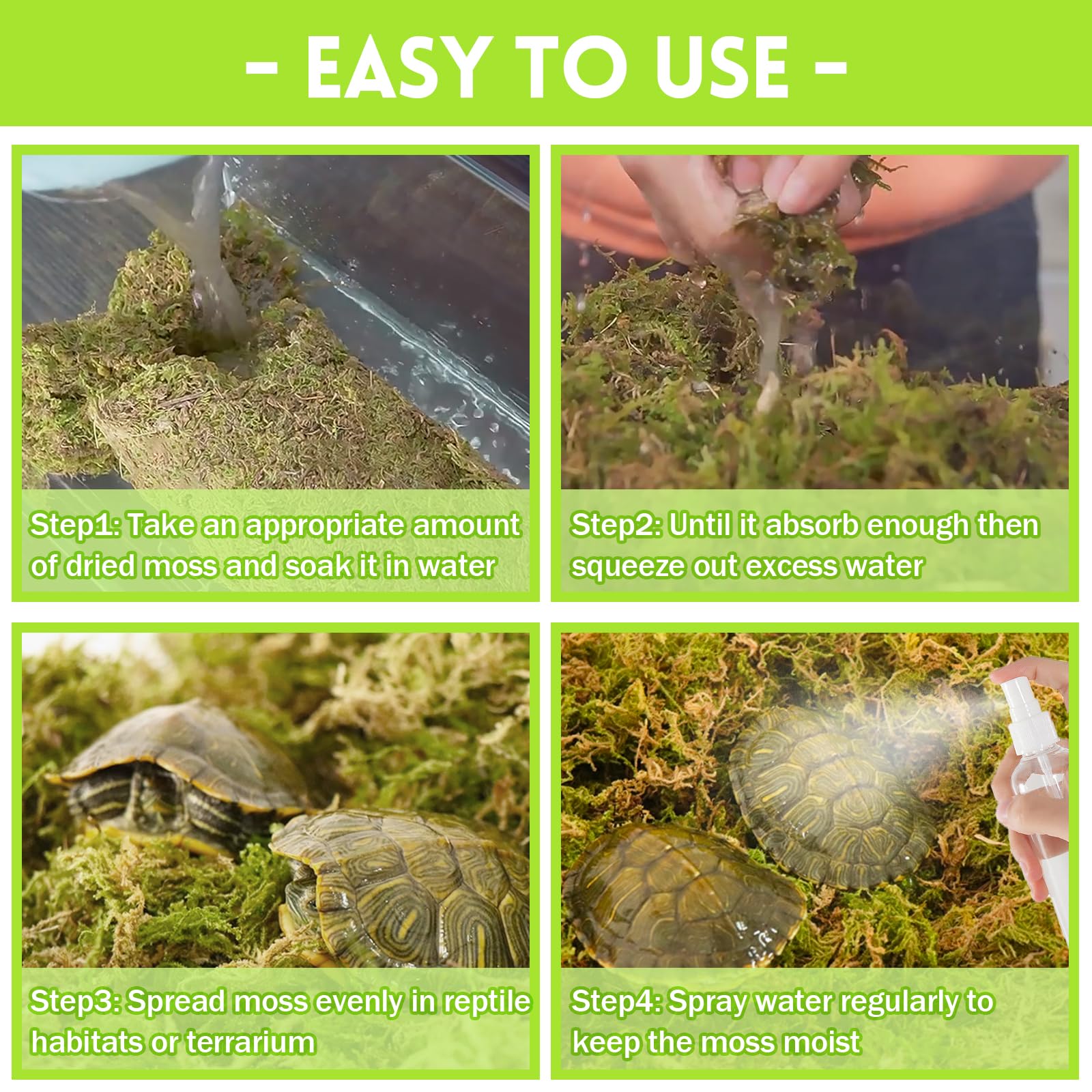 Riare mousse favorise le creusement et le repos des reptiles.