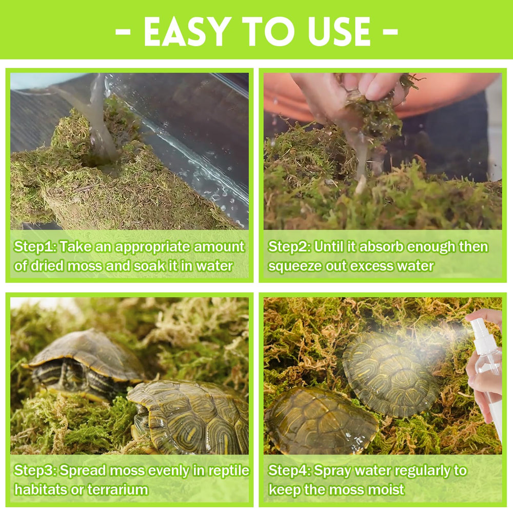 Riare mousse favorise le creusement et le repos des reptiles.