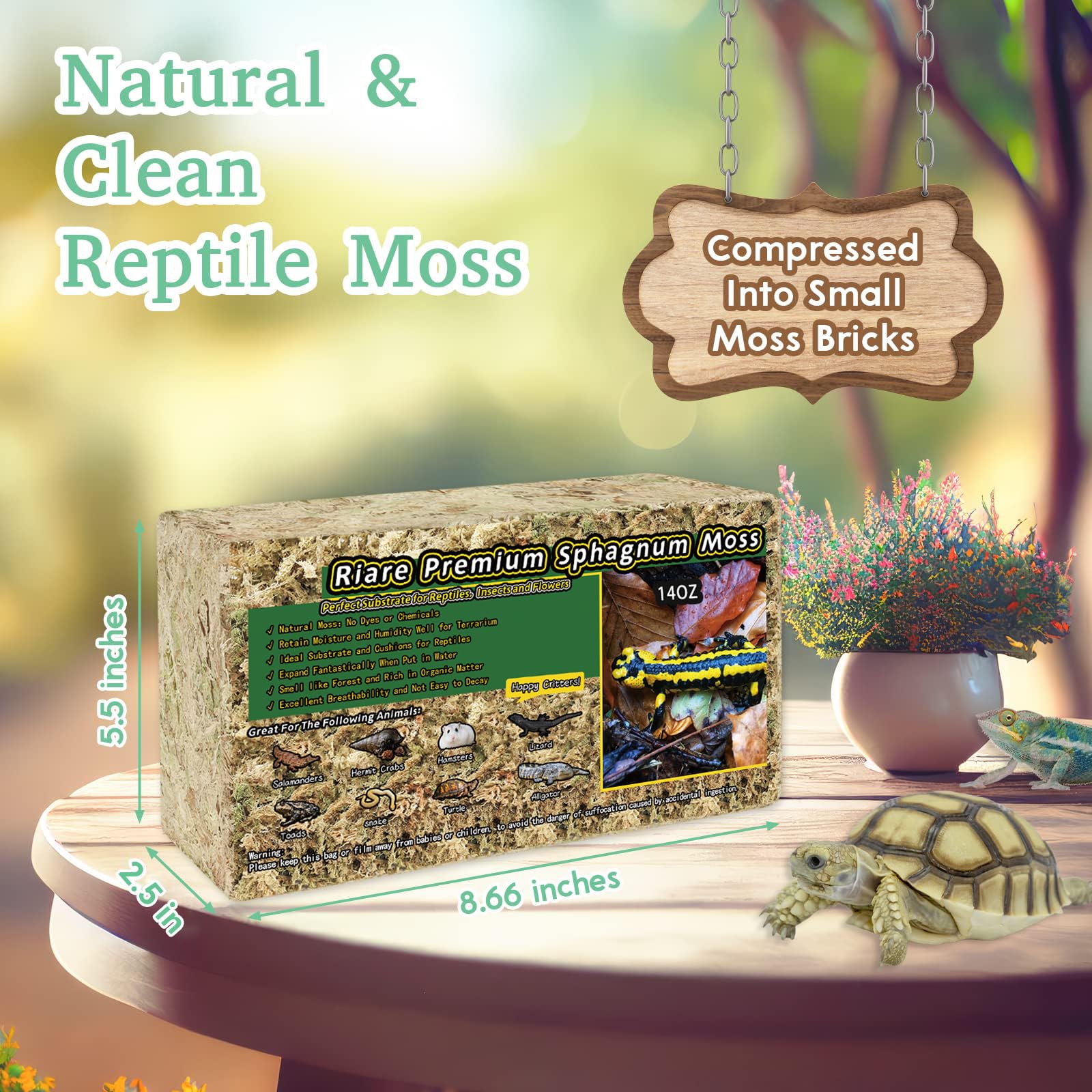 Riare mousse sphagnum forêt vivante pour terrarium et humidité naturelle.