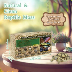 Riare mousse sphagnum forêt vivante pour terrarium et humidité naturelle.