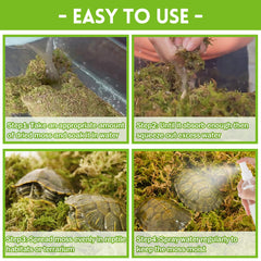 Riare mousse sphagnum pour hibernation et élevage en terrarium.