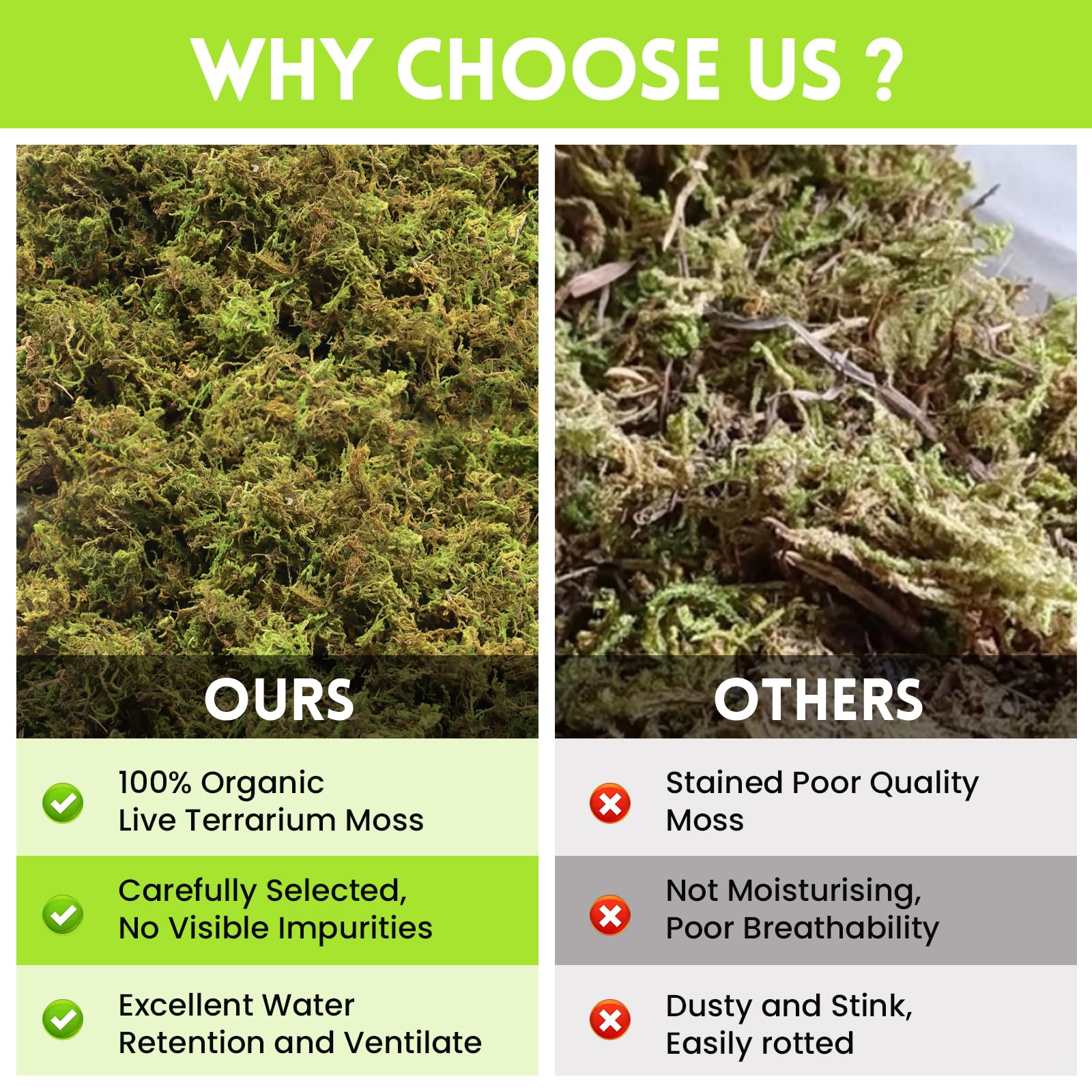 Riare mousse sphagnum garde le terrarium propre et dissimule les odeurs.