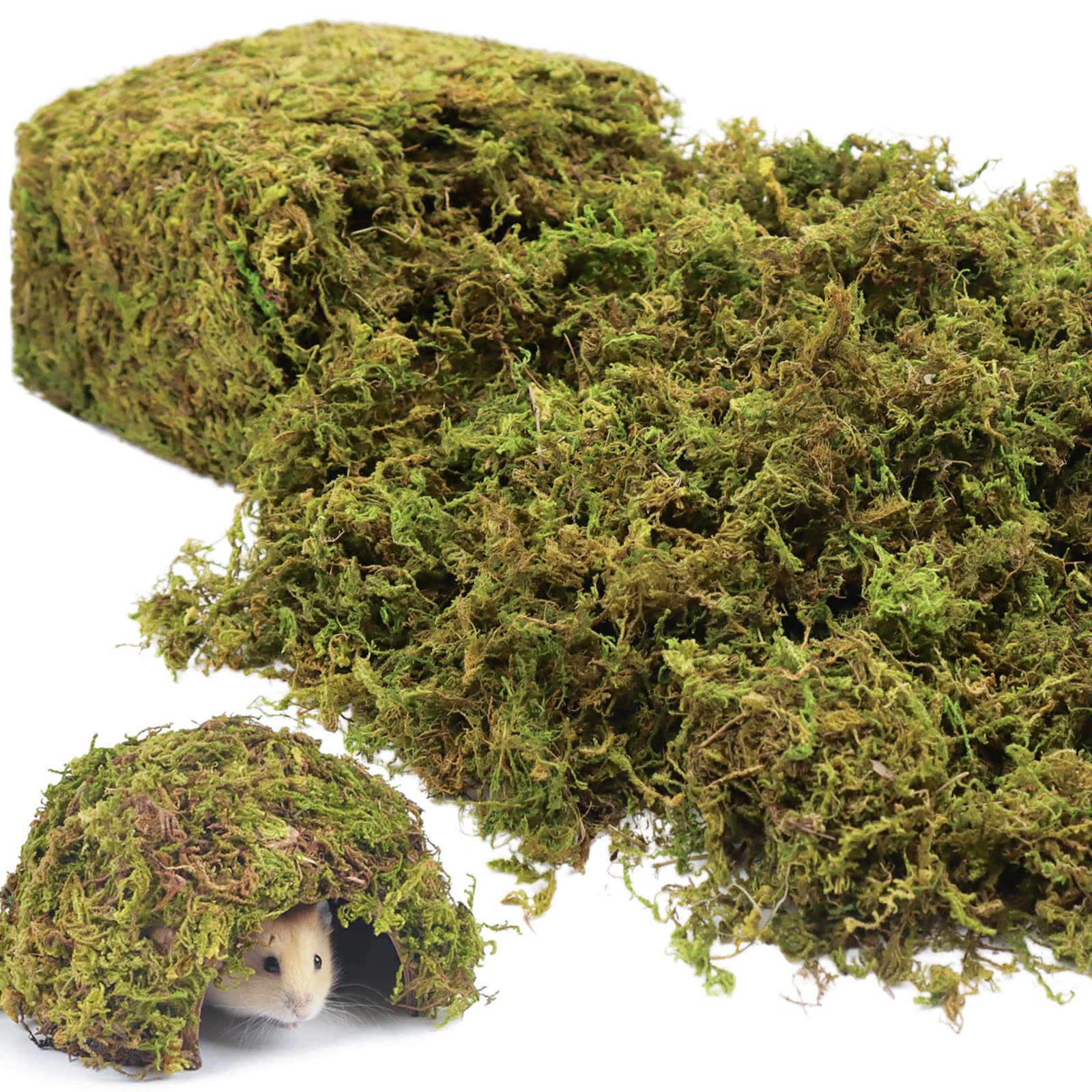 Riare mousse sphagnum naturelle pour terrarium, habitat plus naturel et confortable.
