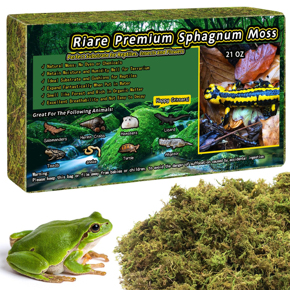 Riare mousse sphagnum naturel dans terrarium, habitat plus humide.